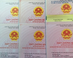 Những kinh nghiệm khi đi mua nhà đất Dĩ An Bình Dương